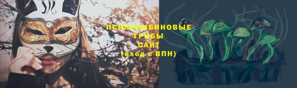 сатива Бугульма