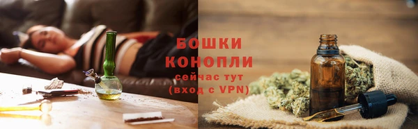 гашик Богородск