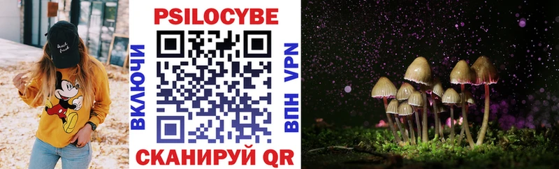 купить  сайты  Мышкин  ссылка на мегу как зайти  Галлюциногенные грибы мицелий 